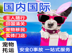 普洱思茅机场物流国际宠物托运 【国